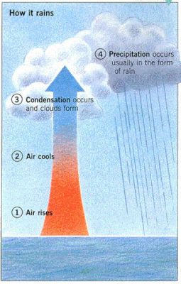 貴州爲何天天下雨？探究地理與氣候之迷思